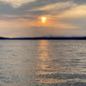 Meet your Posher, Alonzo